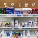 마산육일약국 이미지