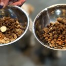 동편동물병원 이미지