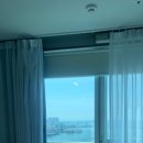 래디언트 남포 이미지