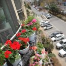 중앙 무대 이미지