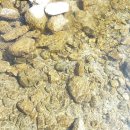 향기민박 이미지