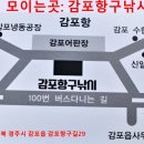 감포항구낚시
