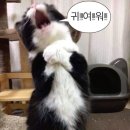 모두 행복해져라 ~ 행복해져라 ~ ♬