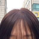 헤어날드