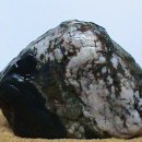 수산1리 이미지