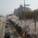 감골길앞 이미지