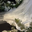 w-36 | W.36 영등포 웨스턴베니비스 본식 마친 후기💗