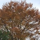 장두못공원 이미지