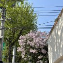 북촌 미담한옥게스트하우스 1박 하며 나들이🌸 (비담카페, 어둠속의대화)