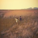 달리는철가방 이미지