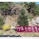 봄뜰에농장 이미지