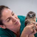 메트로동물병원 이미지