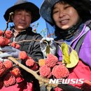 김광연 농장 이미지