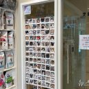 원헬스 동물의료센터 이미지