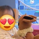 아리테브릿지 | 너티차일드 돌아기 방문후기