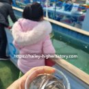 자수정식당 티스토리