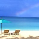 숲속게스트하우스 이미지