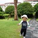 채이농장 이미지