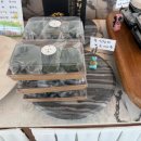 육소나무옆 화장실 이미지