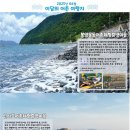 봉암몽돌어촌체험휴양마을 | 2025년 6월 어촌체험 여행지, 봉암몽돌·신시도 직접 가본다면?