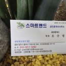 별그리고부동산공인중개사사무소 이미지