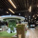 해피버스데이 | 대전 아기 돌잔치 해피버스데이 계약후기