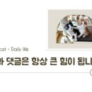 짬뽕지존 향남점 이미지