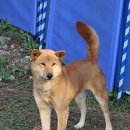 수원-0803 이미지