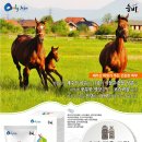 헬리오스주식회사 이미지