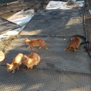 도천마을회관 이미지