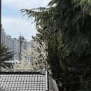 심리서점 쓰담 이미지