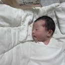 도곡 치유 동물병원 | 도곡함춘산부인과 제왕절개 둘째 출산후기/ 척추마취, 모자동실, 페인버스터(청화병원과 비교)