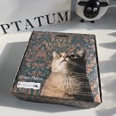 냥집사 | 펫, 캣닢 토이 기프트 세트, 고양이와 함께하는 향기로운 시간, 냥집사도 가능한 인센스 내돈내산 솔직후기