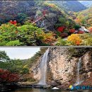 2011년 10월30일 제55회 방배산악회 정기산행 전북 순창 "강천산"(해발 583,7m) 이미지
