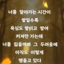 명문카닥터 이미지