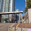 스파팰리스리가 이미지