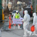 김홍철농장 이미지