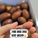 회남면 법수리마을 이미지