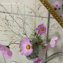 로빈(Raw Bean) 네이버블로그