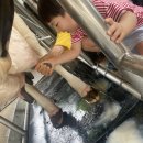 은찬목장 이미지