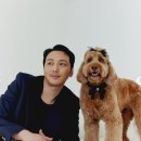 변요한 카카오 검색결과