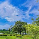 보라매공원 이미지