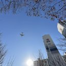 가락충전소 이미지