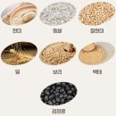 미숫가루 맛인데 달걀 3개 단백질, 노화를 늦추는 가장 간편한 아침 습관 이미지
