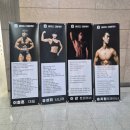 머슬컴퍼니 네이버블로그