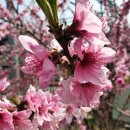 해솔초삼거리 이미지