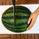 수박이네 이미지