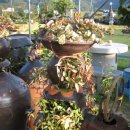 청안농장 이미지