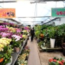 중매인86호 이미지