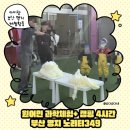 349 | 명지 키즈카페 노리터349 | 원어민 과학체험+캠핑 4시간 이용 후기